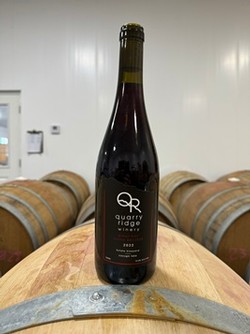 2022 Pinot Noir 667/828